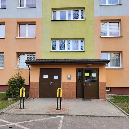 The First Atlas Arena